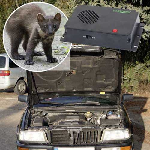 profesionalni tjerač kuna